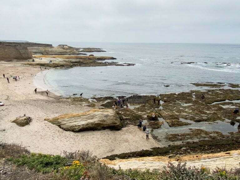 Montana de Oro Bluff Trail: The Best 2-Hour Itinerary (If You Gotta ...