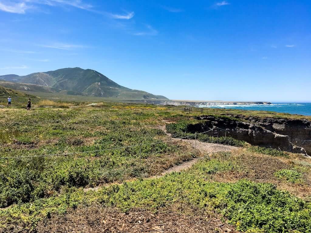 Bluff Trail hike in Montana de Oro State Park 