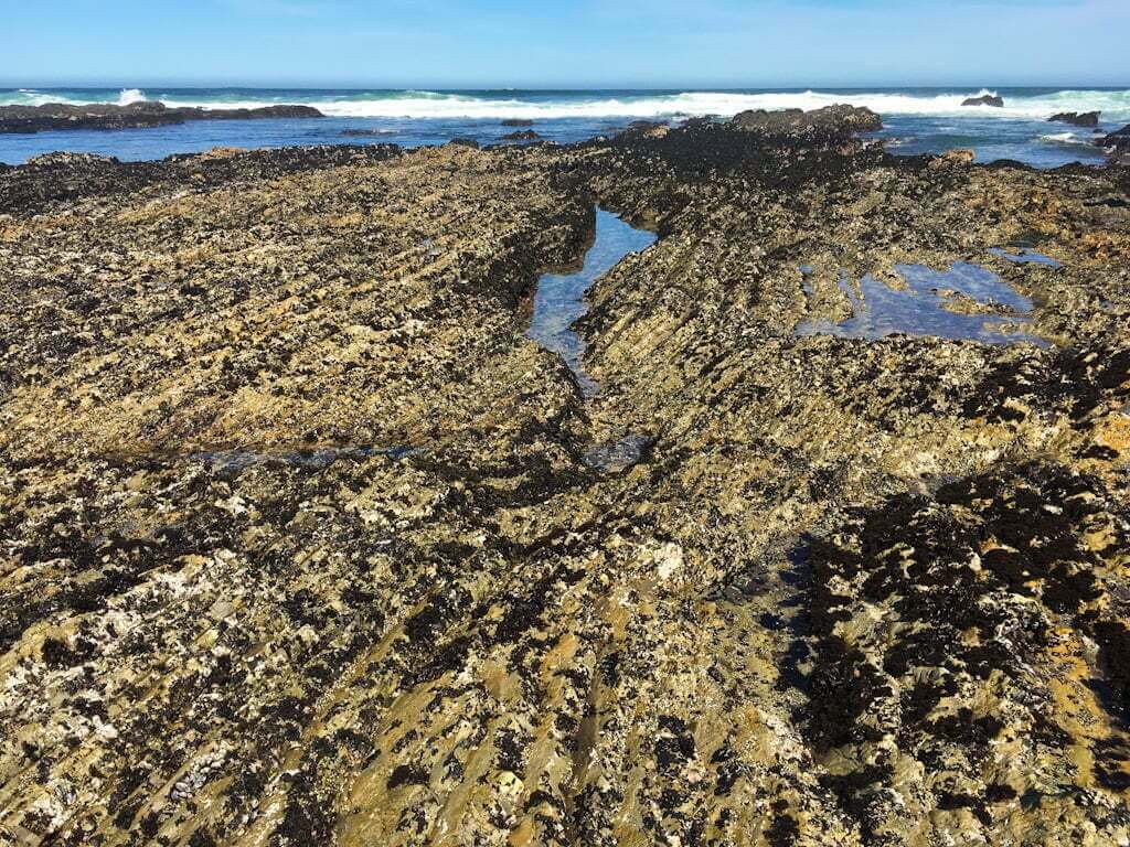 Montaña de Oro tide pools with ocean in background