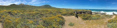 Montana de Oro State Park: The 3 Ultimate Itineraries + Insider Tips!