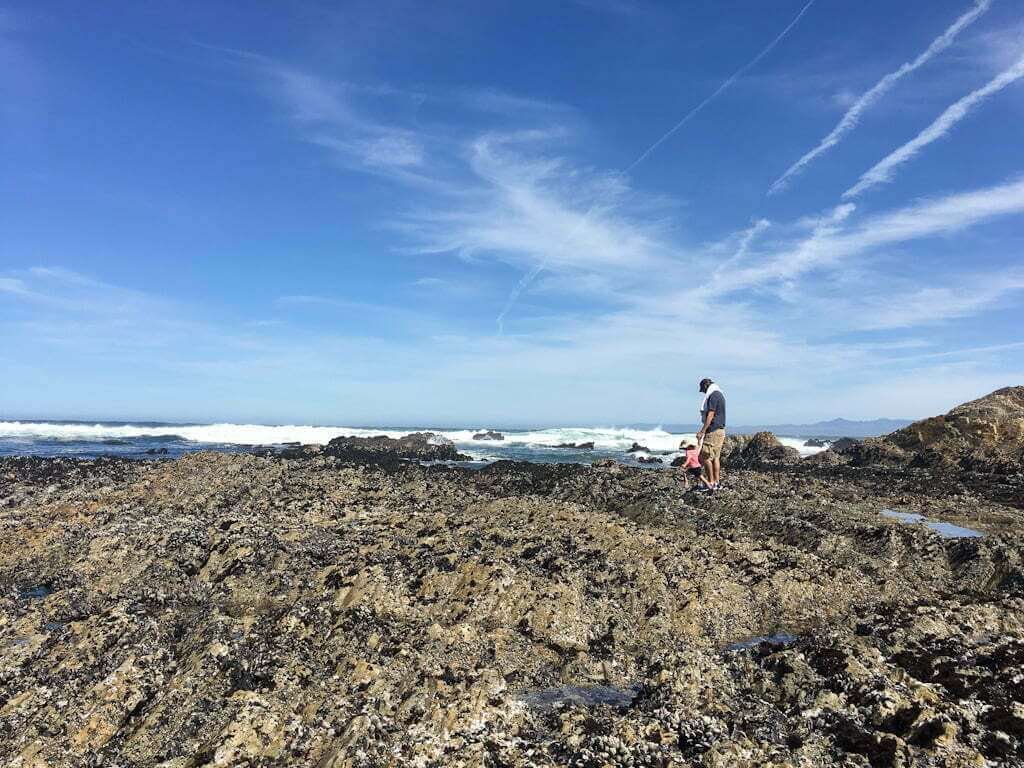 father with daughter in Montana de Oro tidepools and blue sky