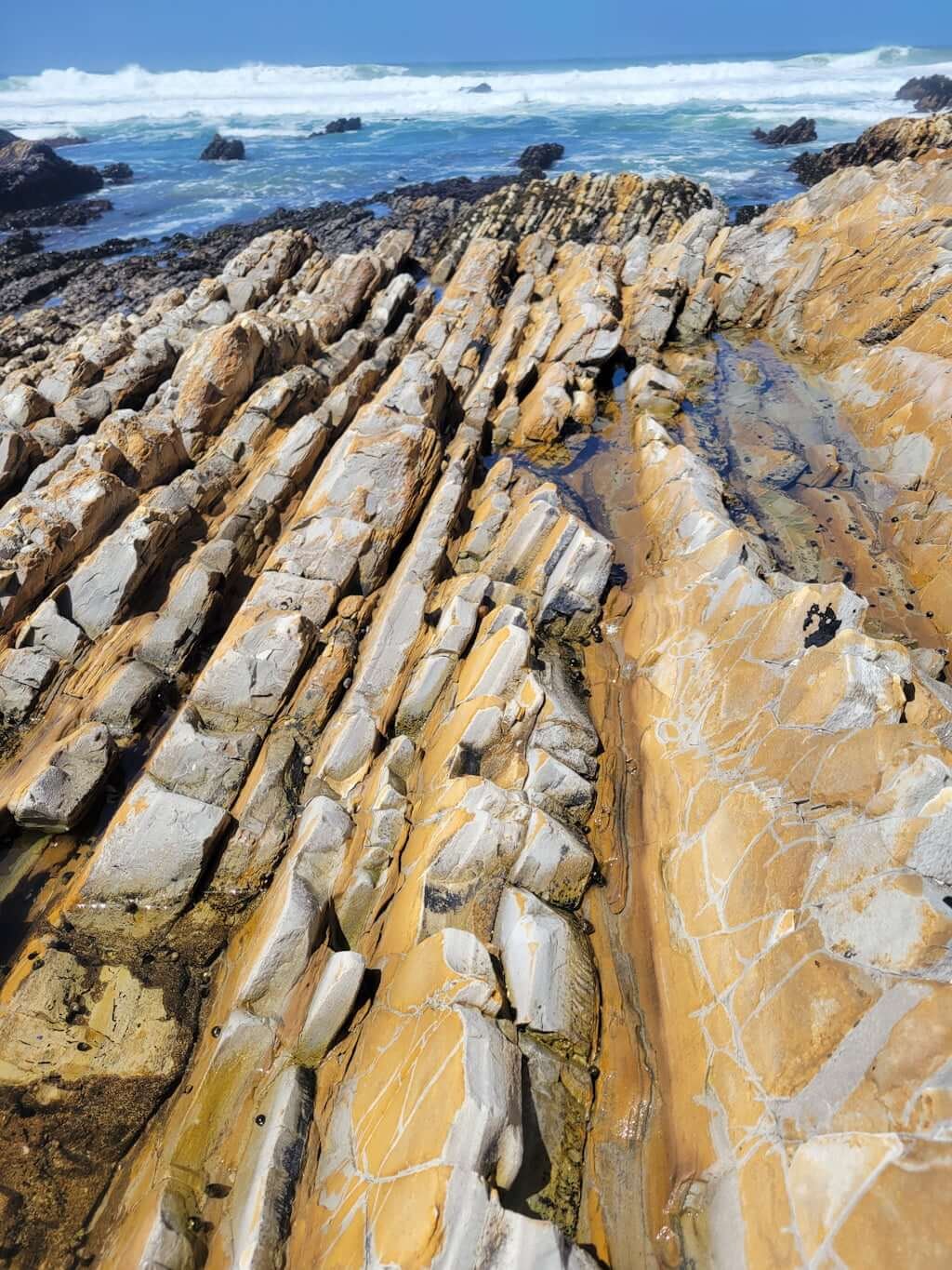 Montaña de Oro tidepools