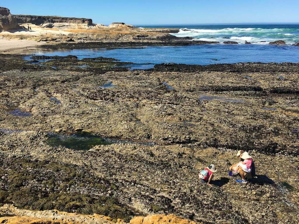 family tidepooling in Montana de Oro with beach in distance