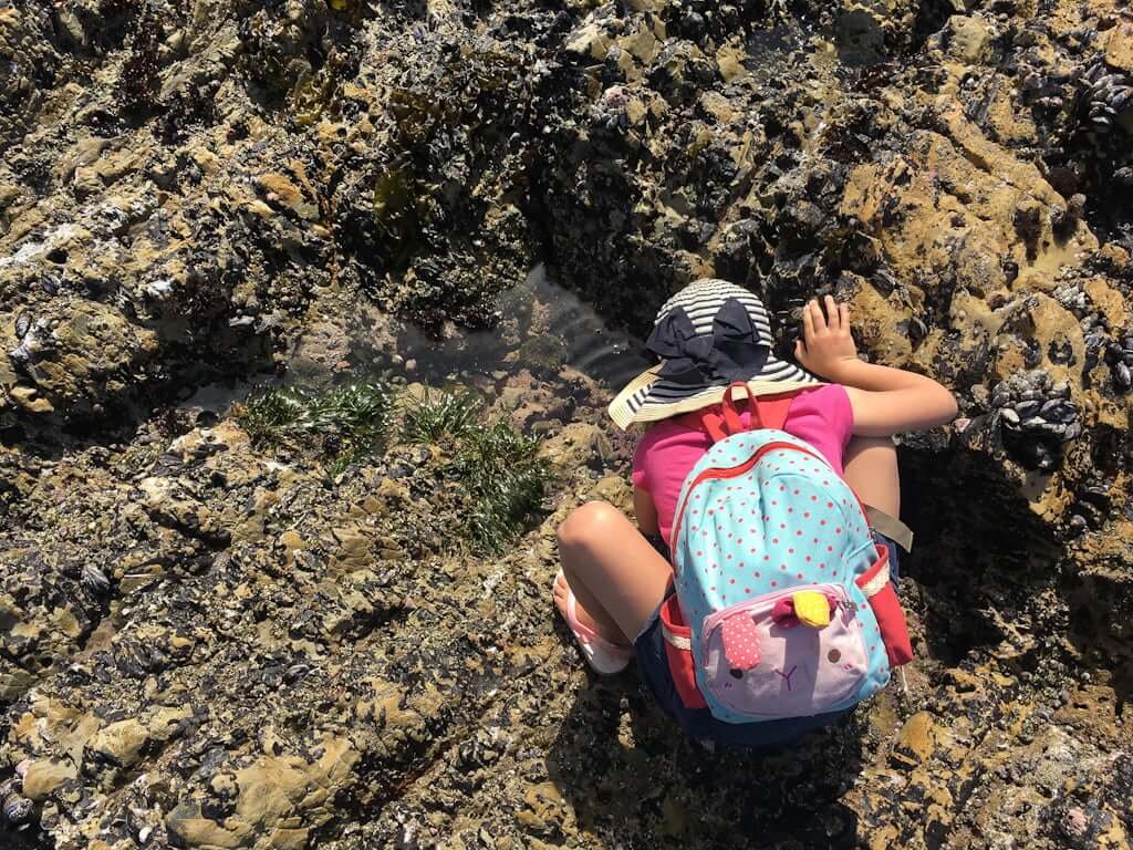 kid exploring tidepools