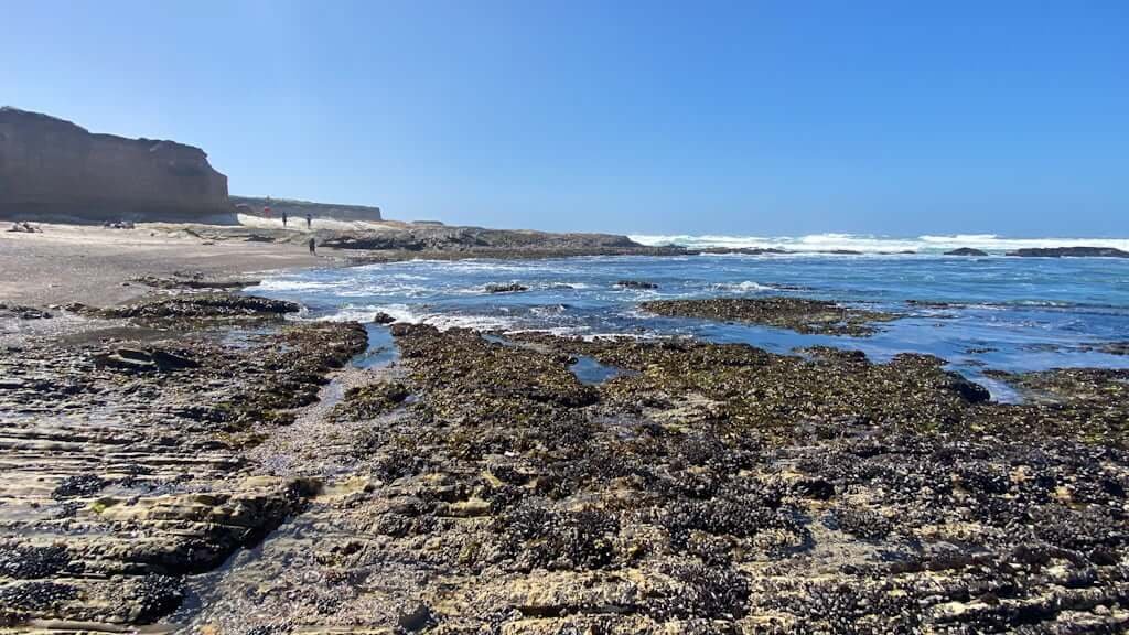 Montana de Oro tide pools