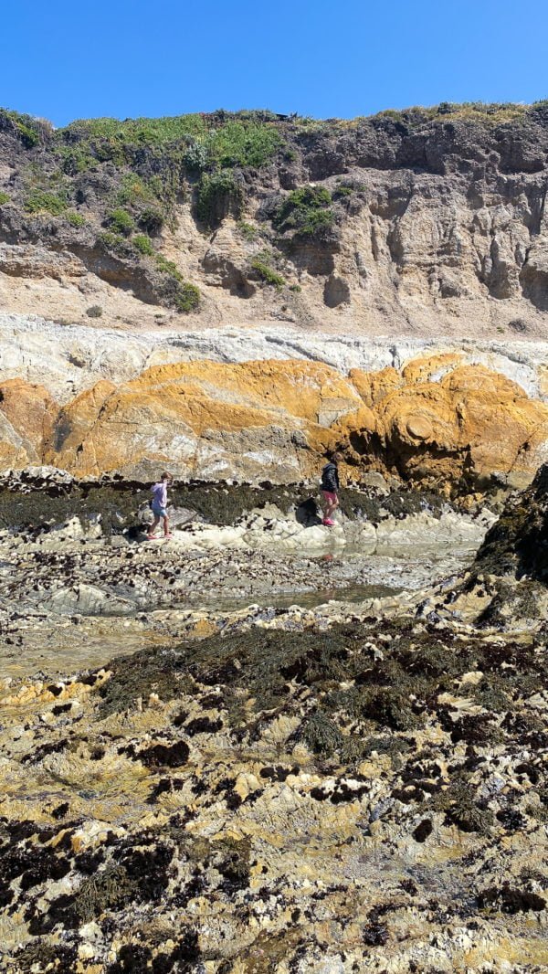 Montana de Oro Tide Pools Lively + Relaxing 1Day Itinerary!