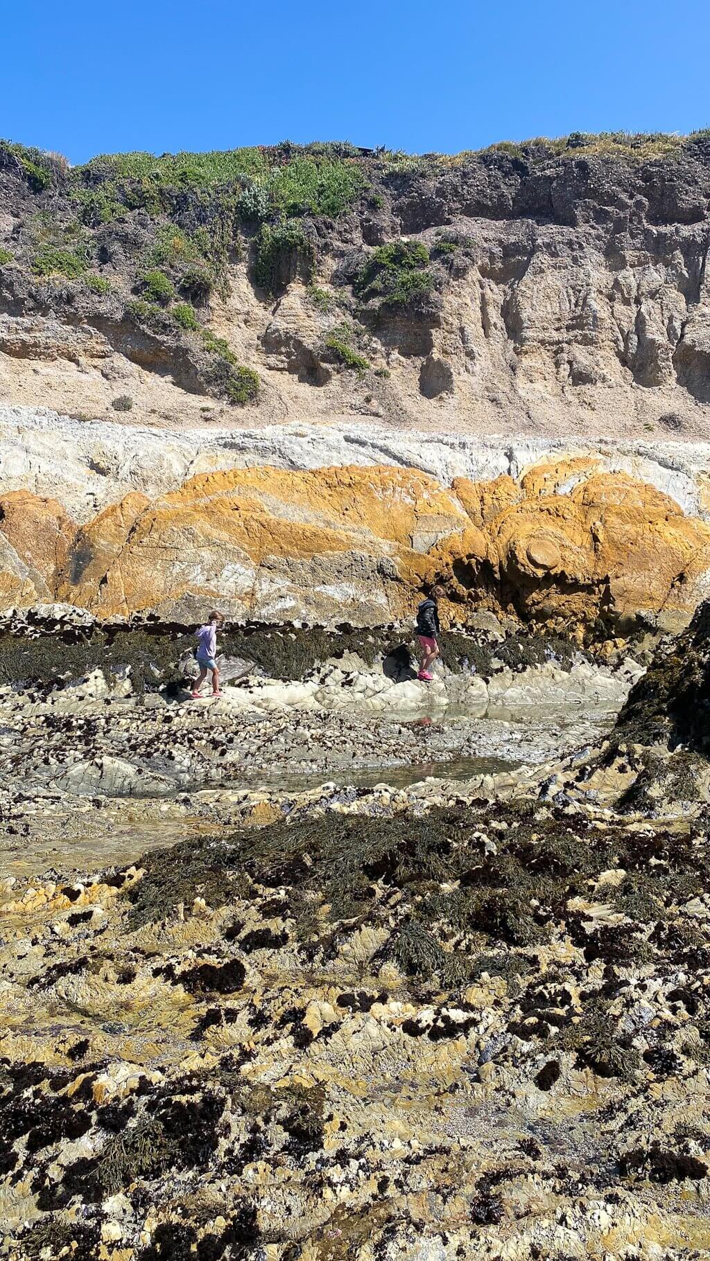kids exploring Montaña de Oro tide pools