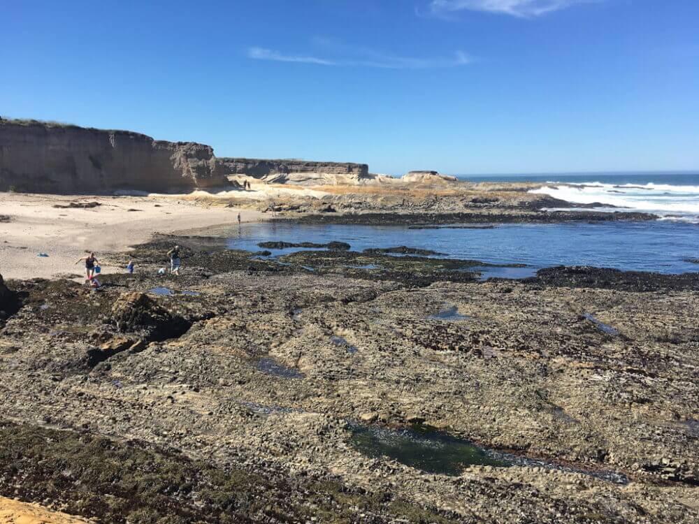 Montana de Oro Tide Pools Lively + Relaxing 1Day Itinerary!