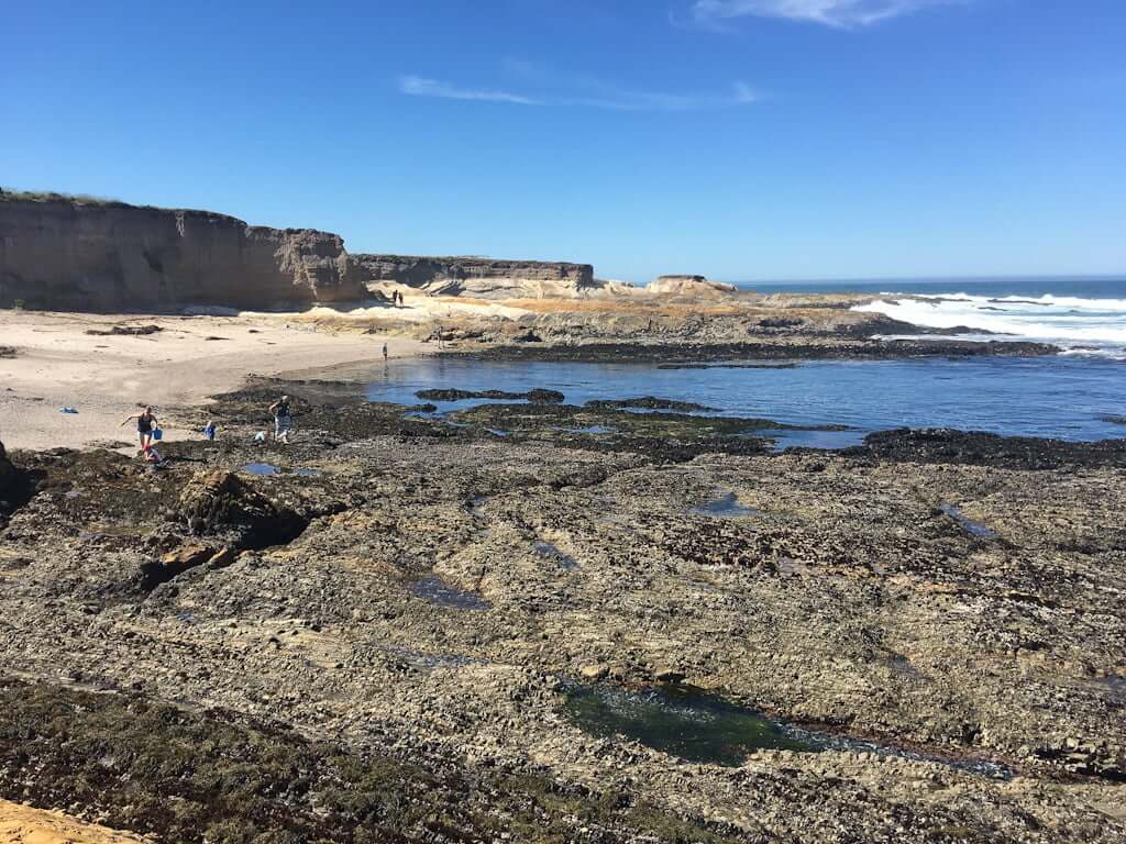 view from rocks above tide pools in Montaña de Oro State Park, beach in background