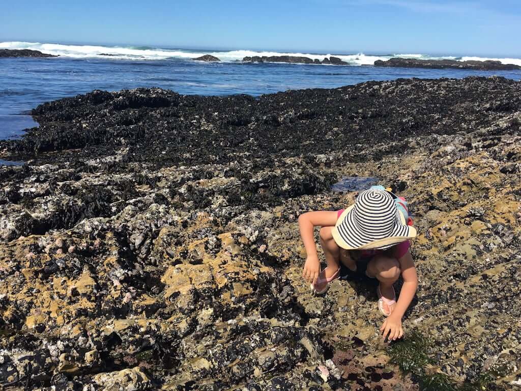 kid tidepooling in Montana de Oro with ocean in background