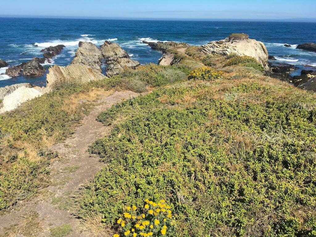 path above cliffs in Montaña de Oro, California, with ocean in distance