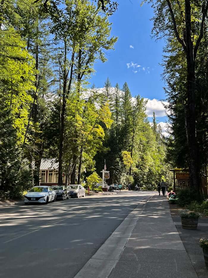 street with trees and shops in Apgar, Glacier National Park