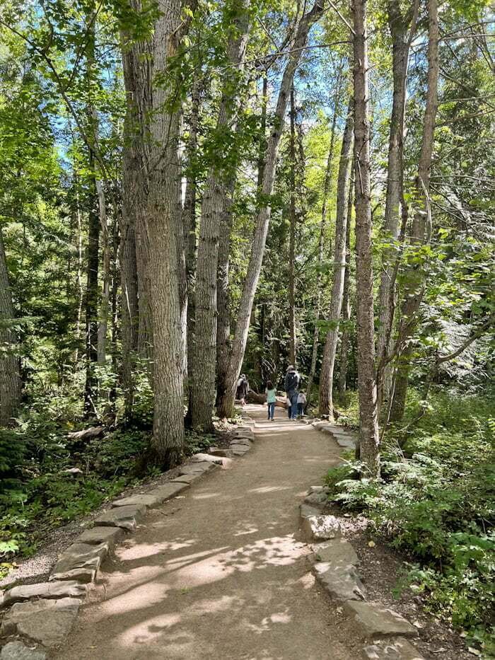 family hiking Trail of the Cedars in Glacier National Park