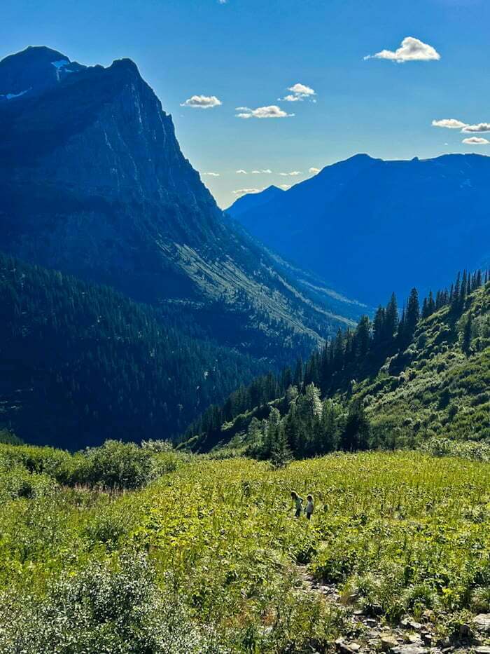 green meadow and mountains viewpoint in Glacier National Park