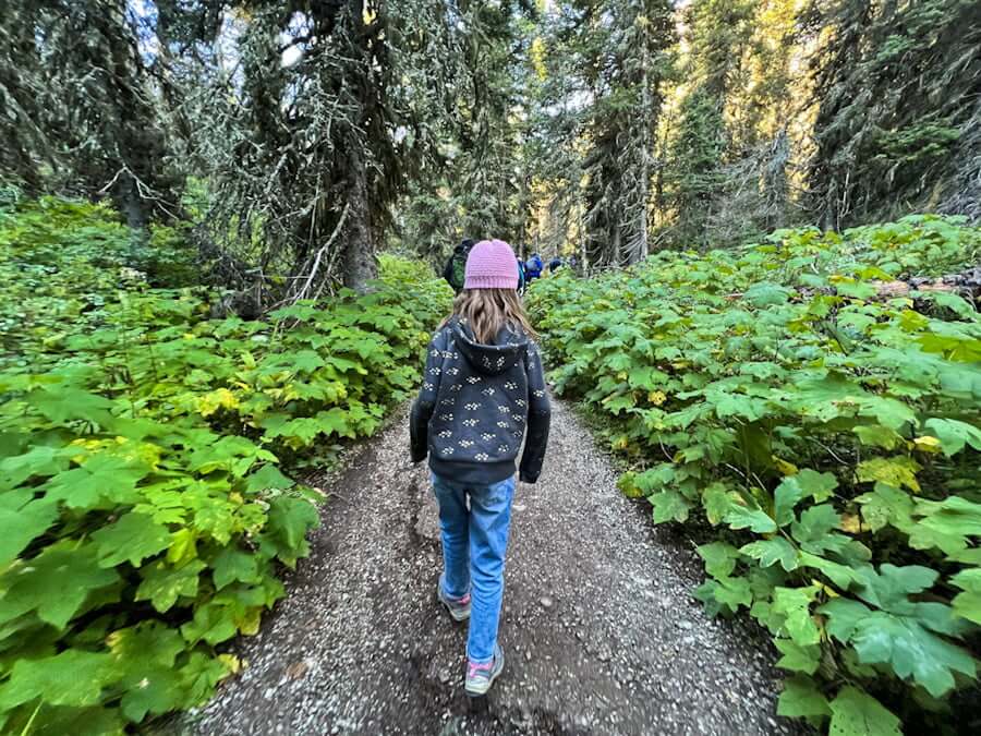 girl hiking in woods in Glacier National Park