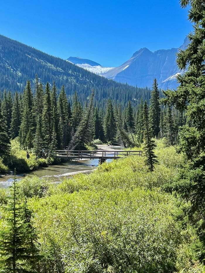 bridge across stream with mountains and trees in distance in Many Glacier