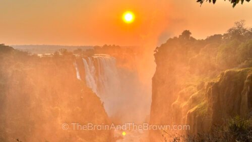 Read more about the article Wild and Beautiful: Exploring Zimbabwe, Zambia, and Botswana!