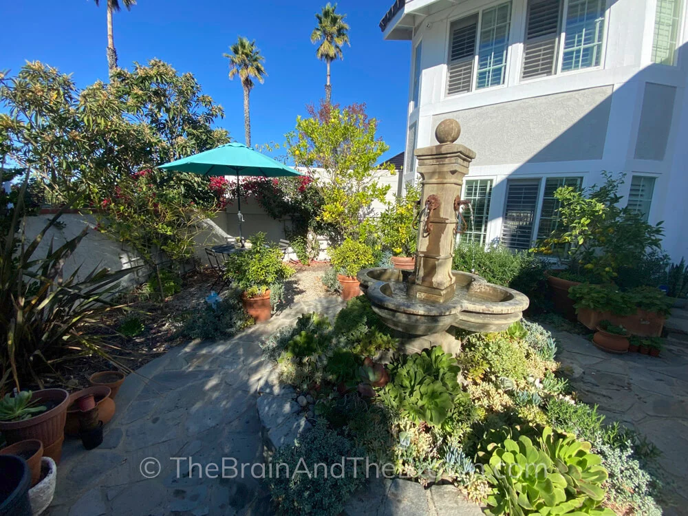 A fountain sits in the center of a flagstone patio and rocks with plants surrounding the path is a perfect no grass front yard landscaping idea.