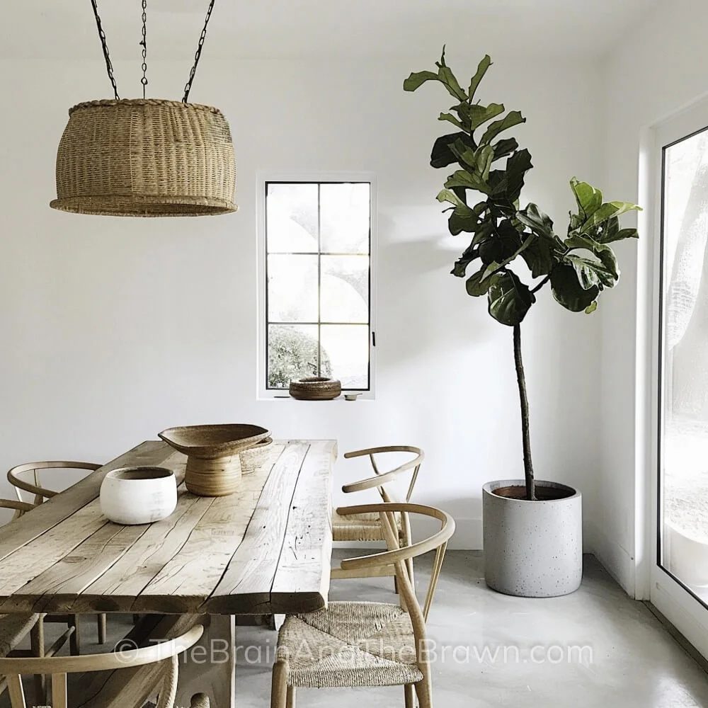 A dining room with modern farmhouse ideas has a large, rustic wooden table and wishbone chairs. A large plant is in the corner of the dining room and a large woven light hangs above the table. 